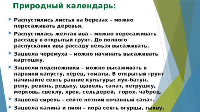 Природный календарь:   Распустились листья на березах – можно пересаживать деревья. Распустилась желтая ива – можно пересаживать рассаду в открытый грунт. До полного распускания ивы рассаду нельзя высаживать. Зацвела черемуха – можно начинать высаживать картошку. Зацвели подснежники – можно высаживать в парники капусту, перец, томаты. В открытый грунт начинайте сеять ранние культуры: лук-батун, репу, ревень, редьку, щавель, салат, петрушку, морковь, свеклу, хрен, сельдерей, горох, чабрец. Зацвела сирень – сейте летний кочанный салат. Зацвела калина и пион – пора сеять огурцы, тыкву, бобы, сахарную кукурузу. 