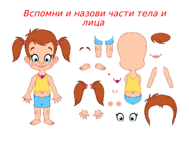Вспомни и назови части тела и лица 