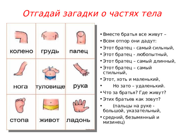 Отгадай загадки о частях тела Вместе братья все живут – Всем отпор они дадут: Этот братец - самый сильный, Этот братец - любопытный, Этот братец – самый длинный, Этот братец – самый стильный, Этот, хоть и маленький,         Но зато – удаленький. Что за братья? Где живут? Этих братьев как зовут?         (пальцы на руке - большой, указательный,  средний, безымянный и мизинец) 