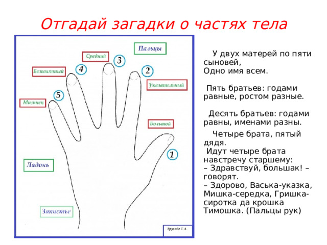 Отгадай загадки о частях тела  У двух матерей по пяти сыновей,  Одно имя всем.   Пять братьев: годами равные, ростом разные.   Десять братьев: годами равны, именами разны.  Четыре брата, пятый дядя.   Идут четыре брата навстречу старшему:  – Здравствуй, большак! – говорят.  – Здорово, Васька-указка, Мишка-середка, Гришка-сиротка да крошка Тимошка. (Пальцы рук) 