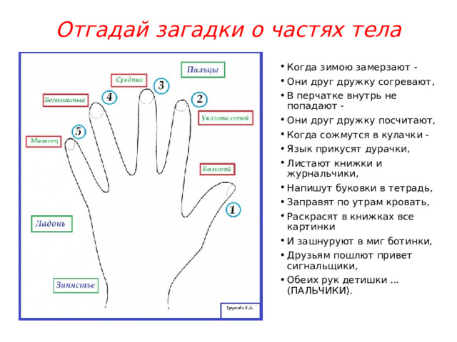 Отгадай загадки о частях тела Когда зимою замерзают - Они друг дружку согревают, В перчатке внутрь не попадают - Они друг дружку посчитают, Когда сожмутся в кулачки - Язык прикусят дурачки, Листают книжки и журнальчики, Напишут буковки в тетрадь, Заправят по утрам кровать, Раскрасят в книжках все картинки И зашнуруют в миг ботинки, Друзьям пошлют привет сигнальщики, Обеих рук детишки ... (ПАЛЬЧИКИ). 