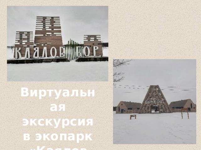 Виртуальная экскурсия в экопарк «Каялов бор». 