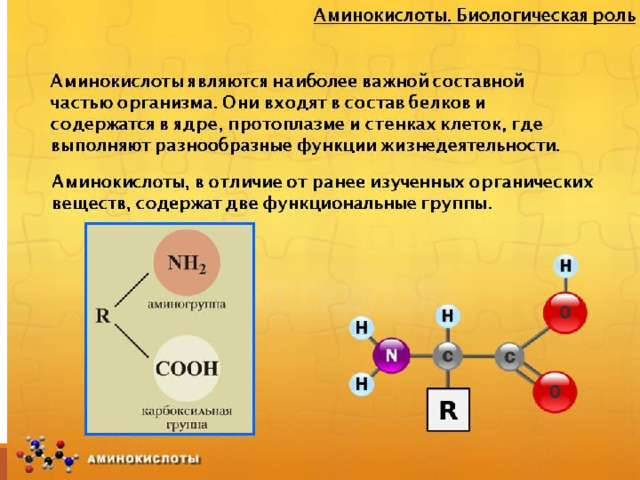 Аминокислоты и амины презентация