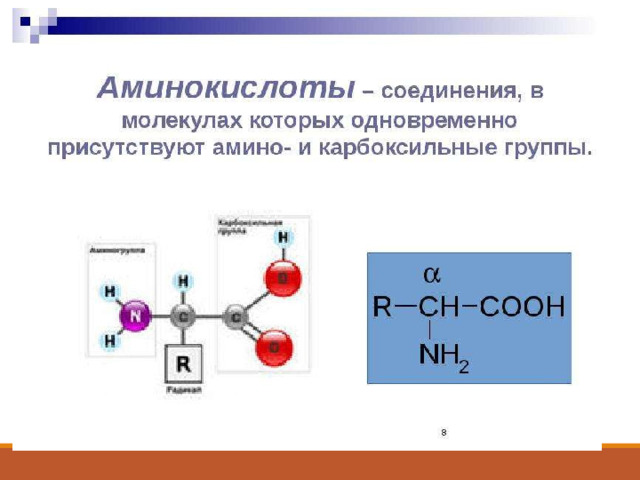 Амины презентация 10 класс