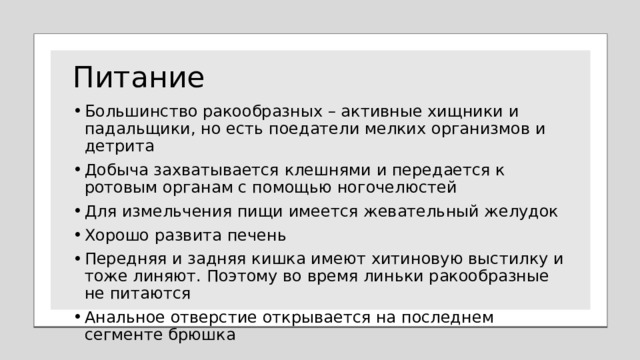 Питание Большинство ракообразных – активные хищники и падальщики, но есть поедатели мелких организмов и детрита Добыча захватывается клешнями и передается к ротовым органам с помощью ногочелюстей Для измельчения пищи имеется жевательный желудок Хорошо развита печень Передняя и задняя кишка имеют хитиновую выстилку и тоже линяют. Поэтому во время линьки ракообразные не питаются Анальное отверстие открывается на последнем сегменте брюшка 