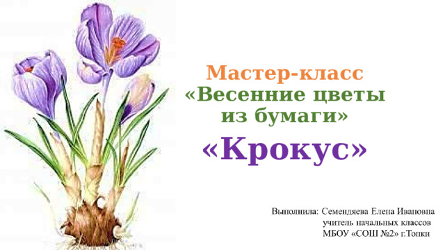 Мастер-класс  «Весенние цветы из бумаги» «Крокус» 