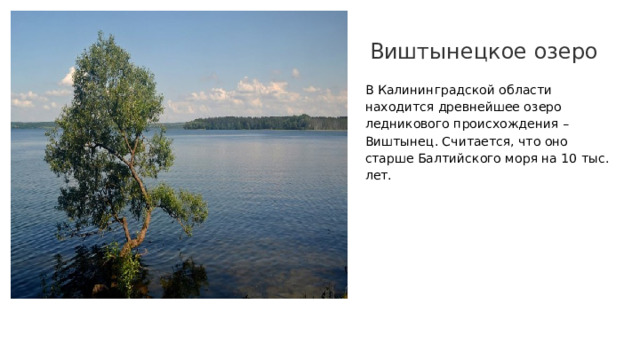Виштынецкое озеро В Калининградской области находится древнейшее озеро ледникового происхождения – Виштынец. Считается, что оно старше Балтийского моря на 10 тыс. лет. 