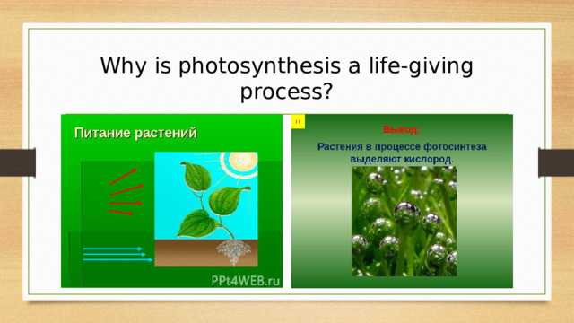 Why is photosynthesis a life-giving process? 
