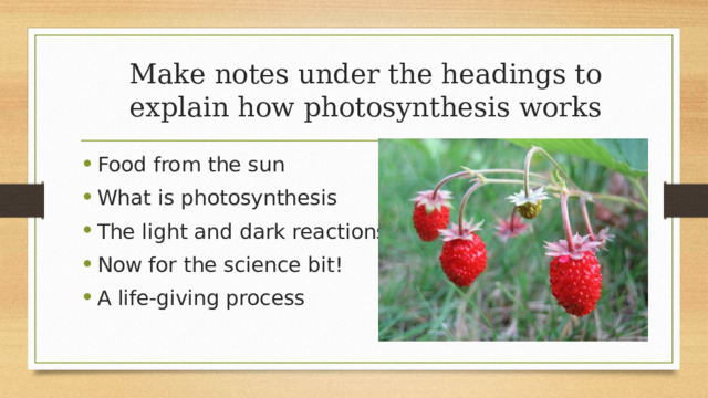 Make notes under the headings to explain how photosynthesis works Food from the sun What is photosynthesis The light and dark reactions Now for the science bit! A life-giving process 