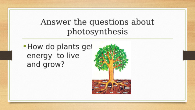 Answer the questions about photosynthesis How do plants get energy to live and grow? 