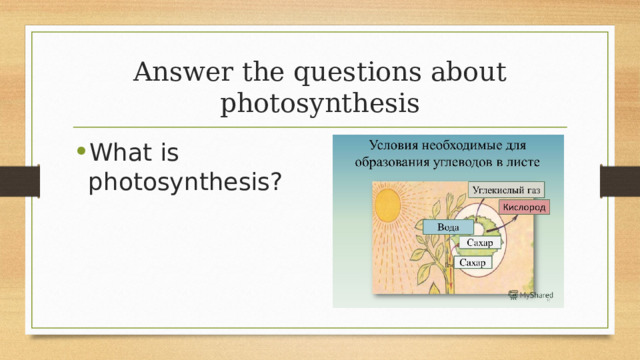 Answer the questions about photosynthesis What is photosynthesis? 