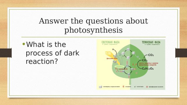 Answer the questions about photosynthesis What is the process of dark reaction? 