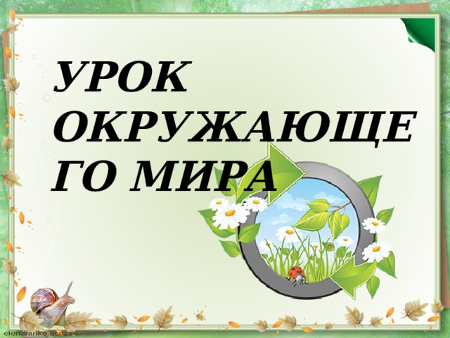 УРОК ОКРУЖАЮЩЕГО МИРА 