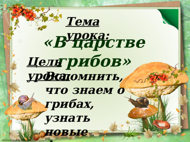 Тема урока: «В царстве грибов» Цель урока: Вспомнить, что знаем о грибах, узнать новые факты. 