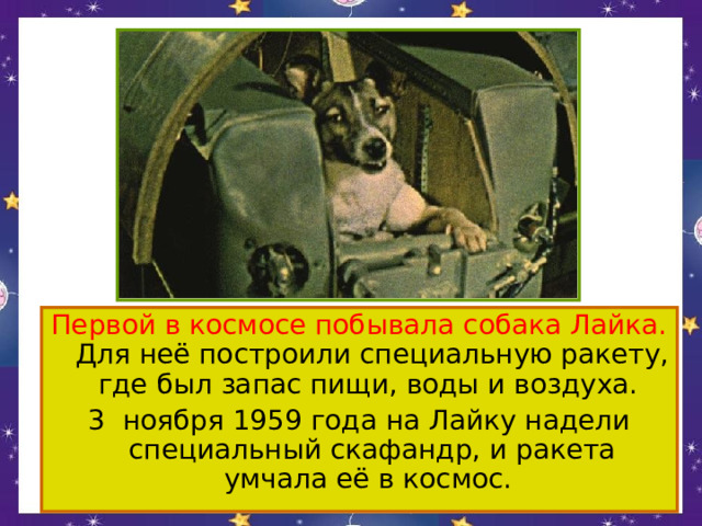 Первой в космосе побывала собака Лайка. Для неё построили специальную ракету, где был запас пищи, воды и воздуха. 3 ноября 1959 года на Лайку надели специальный скафандр, и ракета умчала её в космос. 