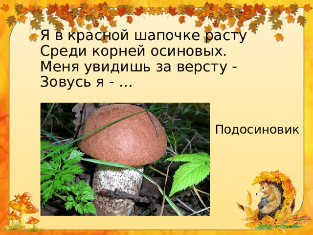 Презентация грибы средняя группа
