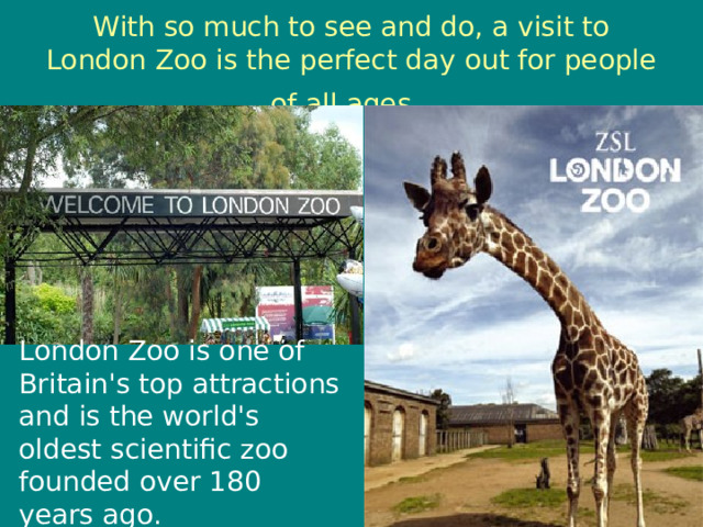 With so much to see and do, a visit to London Zoo is the perfect day out for people of all ages.  London Zoo is one of Britain's top attractions and is the world's oldest scientific zoo founded over 180 years ago. 