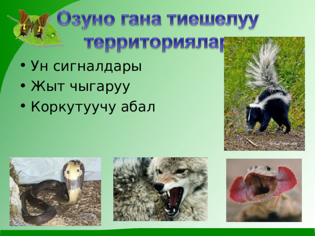 Ун сигналдары Жыт чыгаруу Коркутуучу абал 
