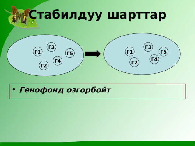 Стабилдуу шарттар  Г3 Г3 Г1 Г5 Г1 Г5 Г4 Г4 Г2 Г2 Генофонд озгорбойт 