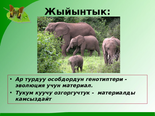 Жыйынтык: Ар турдуу особдордун генотиптери - эволюция учун материал. Тукум куучу озгоргучтук - материалды камсыздайт 