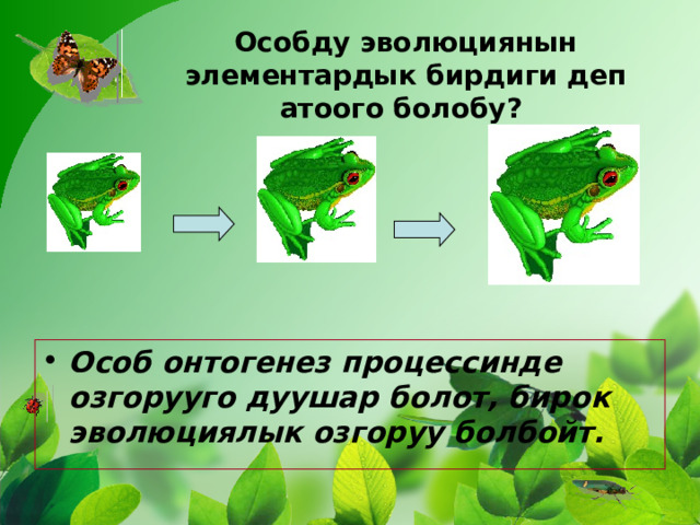 Особду эволюциянын элементардык бирдиги деп атоого болобу? Особ онтогенез процессинде озгорууго дуушар болот, бирок эволюциялык озгоруу болбойт. 