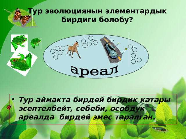 Тур эволюциянын элементардык бирдиги болобу? Тур аймакта бирдей бирдик катары эсептелбейт, себеби, особдук ареалда бирдей эмес таралган. 