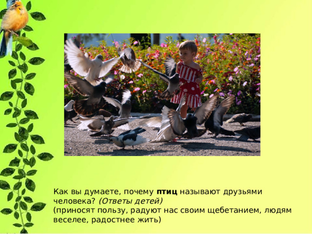 Как вы думаете, почему  птиц  называют друзьями человека?  (Ответы детей) (приносят пользу, радуют нас своим щебетанием, людям веселее, радостнее жить) 