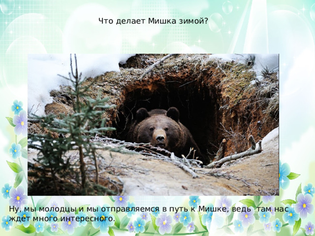 Бурый медведь берлоги и спячка. Берлога медведя. Медвежья берлога берлога медведя. Медвежья берлога (бункер). Медвежья берлога внутри.