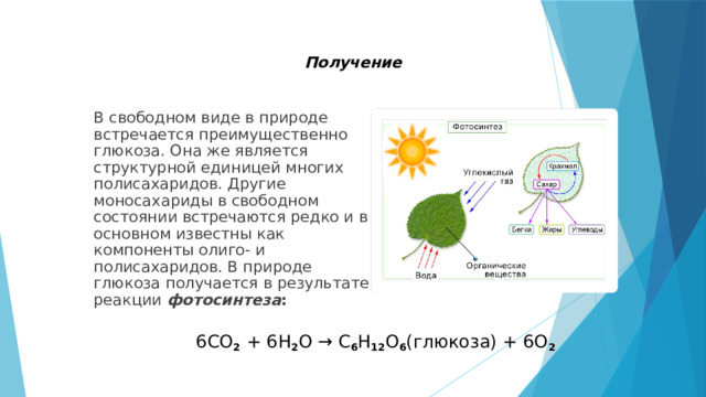  Получение В свободном виде в природе встречается преимущественно глюкоза. Она же является структурной единицей многих полисахаридов. Другие моносахариды в свободном состоянии встречаются редко и в основном известны как компоненты олиго- и полисахаридов. В природе глюкоза получается в результате реакции фотосинтеза :  6CO 2 + 6H 2 O → C 6 H 12 O 6 (глюкоза) + 6O 2 