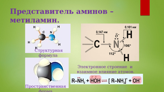 Презентация на тему амины