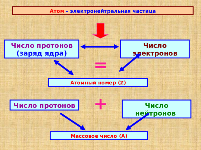 Атом – электронейтральная частица Число протонов (заряд ядра) Число электронов = Атомный номер (Z) + Число нейтронов Число протонов Массовое число (А) 