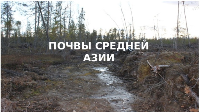 Почвы Средней Азии 