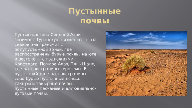 Особенность почв пустынь и полупустынь. Пустынные почвы. Бурые почвы полупустынь. Бурые пустынно-степные почвы. Серо-бурые пустынные почвы.