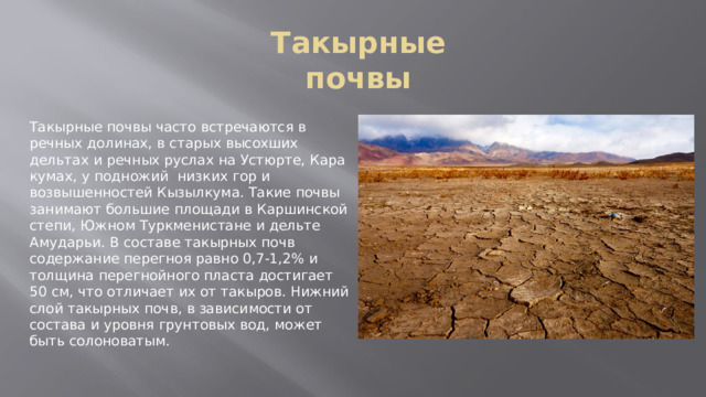 Такырные почвы Такырные почвы часто встречаются в  речных долинах, в старых высохших дельтах и речных руслах на Устюрте, Кара кумах, у подножий  низких гор и возвышенностей Кызылкума. Такие почвы занимают большие площади в Каршинской степи, Южном Туркменистане и дельте Амударьи. В составе такырных почв содержание перегноя равно 0,7-1,2% и толщина перегнойного пласта достигает 50 см, что отличает их от такыров. Нижний слой такырных почв, в зависимости от состава и уровня грунтовых вод, может быть солоноватым. 