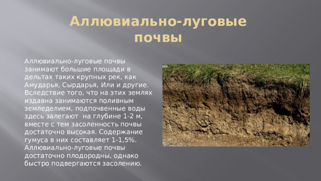 Аллювиально-луговые почвы Аллювиально-луговые почвы занимают большие площади в дельтах таких крупных рек, как Амударья, Сырдарья, Или и другие. Вследствие того, что на этих землях издавна занимаются поливным земледелием, подпочвенные воды здесь залегают  на глубине 1-2 м, вместе с тем засоленность почвы достаточно высокая. Содержание гумуса в них составляет 1-1,5%. Аллювиально-луговые почвы достаточно плодородны, однако быстро подвергаются засолению. 