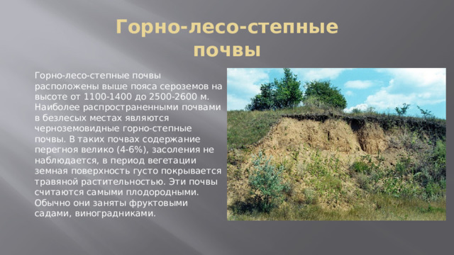 Горно-лесо-степные почвы Горно-лесо-степные почвы расположены выше пояса сероземов на высоте от 1100-1400 до 2500-2600 м. Наиболее распространенными почвами в безлесых местах являются черноземовидные горно-степные почвы. В таких почвах содержание перегноя велико (4-6%), засоления не наблюдается, в период вегетации земная поверхность густо покрывается травяной растительностью. Эти почвы считаются самыми плодородными. Обычно они заняты фруктовыми садами, виноградниками. 