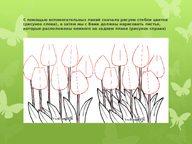 План по рисованию. Вспомогательные линии цветка. Вертикальное расположение цветка изо. Повторение растений изо.