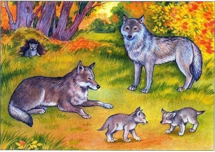 Игра дети и волк