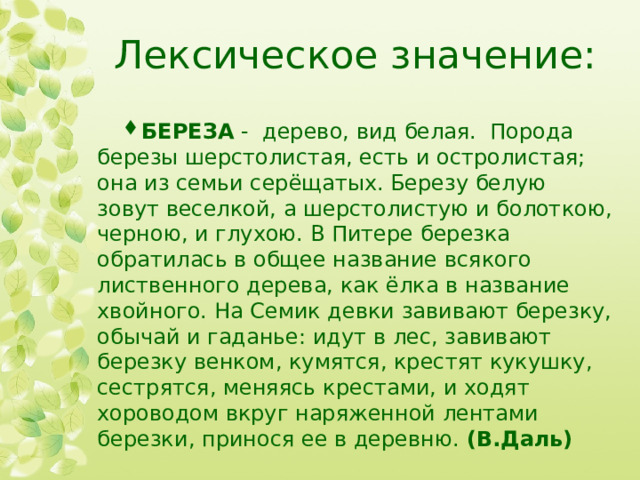 Лексическое значение березы