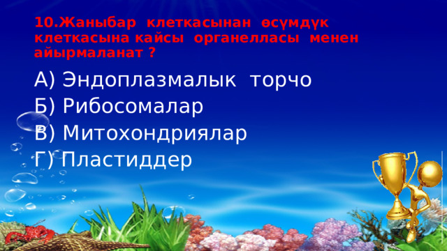 10.Жаныбар клеткасынан өсүмдүк клеткасына кайсы органелласы менен айырмаланат ? А) Эндоплазмалык торчо Б) Рибосомалар В) Митохондриялар Г) Пластиддер 