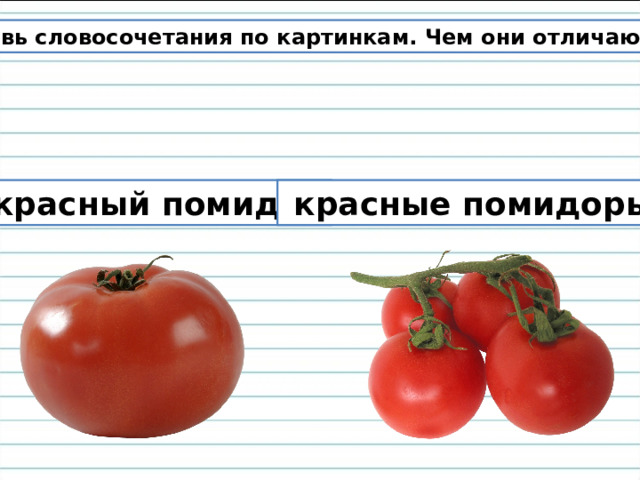 Составь словосочетания по картинкам. Чем они отличаются?  красный помидор  красные помидоры 