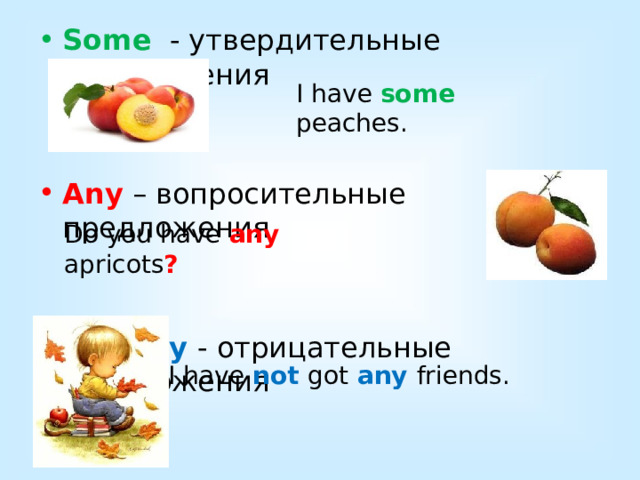 Some - утвердительные предложения Any – вопросительные предложения Not any - отрицательные предложения I have some peaches. Do you have any apricots ? I have not got any friends. 