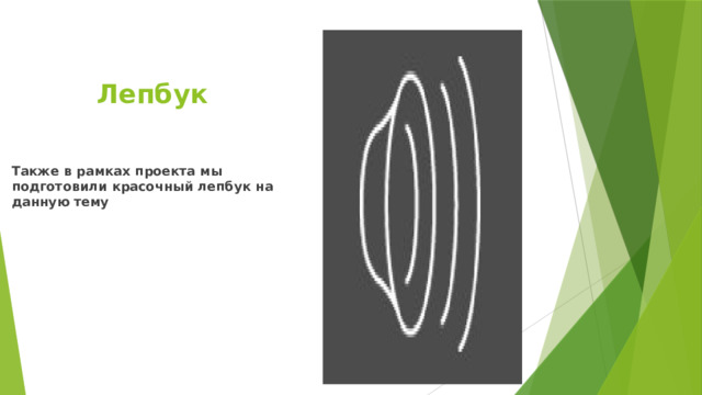 Лепбук  Также в рамках проекта мы подготовили красочный лепбук на данную тему 