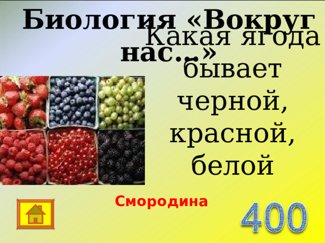 Биология «Вокруг нас…» Какая ягода бывает черной, красной, белой Смородина 