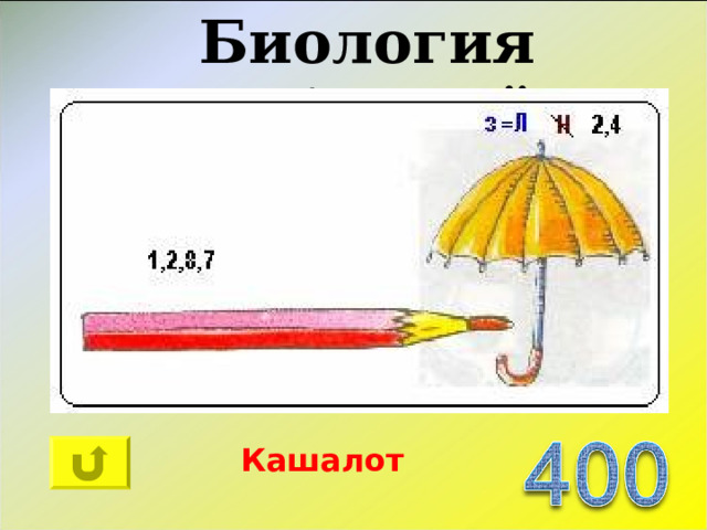 Биология «Ребусный»  Кашалот 