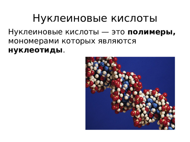 Нуклеиновые кислоты химия презентация