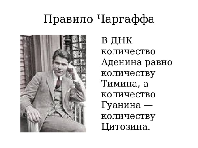 Правило Чаргаффа В ДНК количество Аденина равно количеству Тимина, а количество Гуанина — количеству Цитозина.