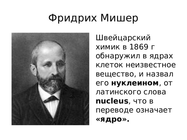 Фридрих Мишер Швейцарский химик в 1869 г обнаружил в ядрах клеток неизвестное вещество, и назвал его нуклеином , от латинского слова nucleus , что в переводе означает «ядро».