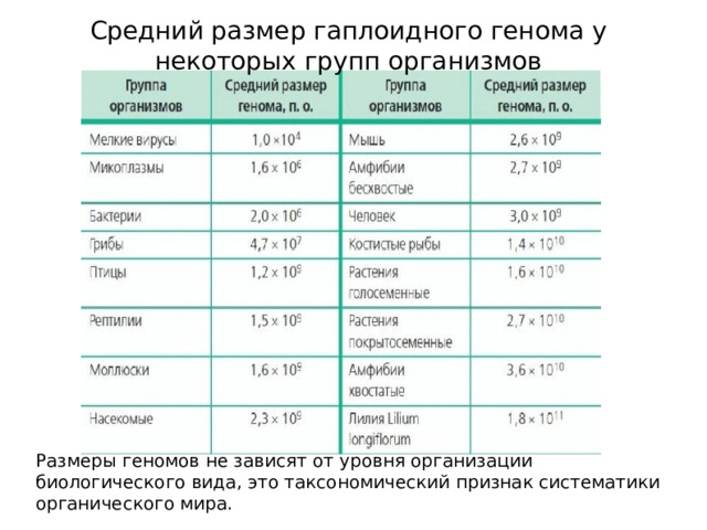 Средний размер гаплоидного генома у некоторых групп организмов Размеры геномов не зависят от уровня организации биологического вида, это таксономический признак систематики органического мира.