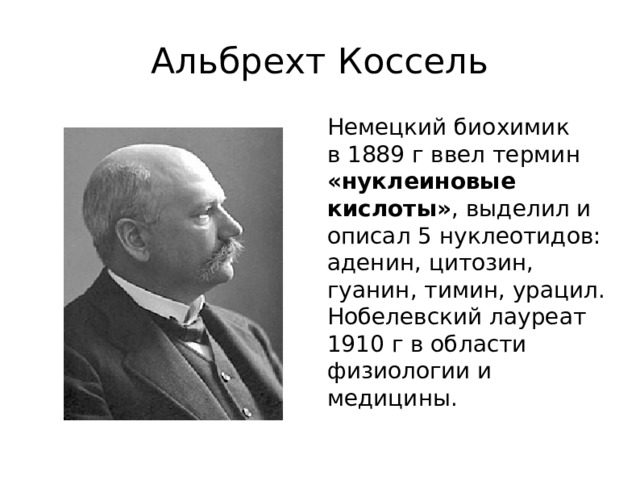 Альбрехт Коссель Немецкий биохимик в 1889 г ввел термин «нуклеиновые кислоты» , выделил и описал 5 нуклеотидов: аденин, цитозин, гуанин, тимин, урацил. Нобелевский лауреат 1910 г в области физиологии и медицины.